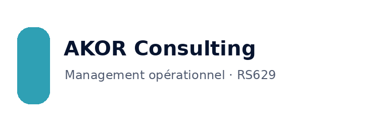 AKOR Consulting logo